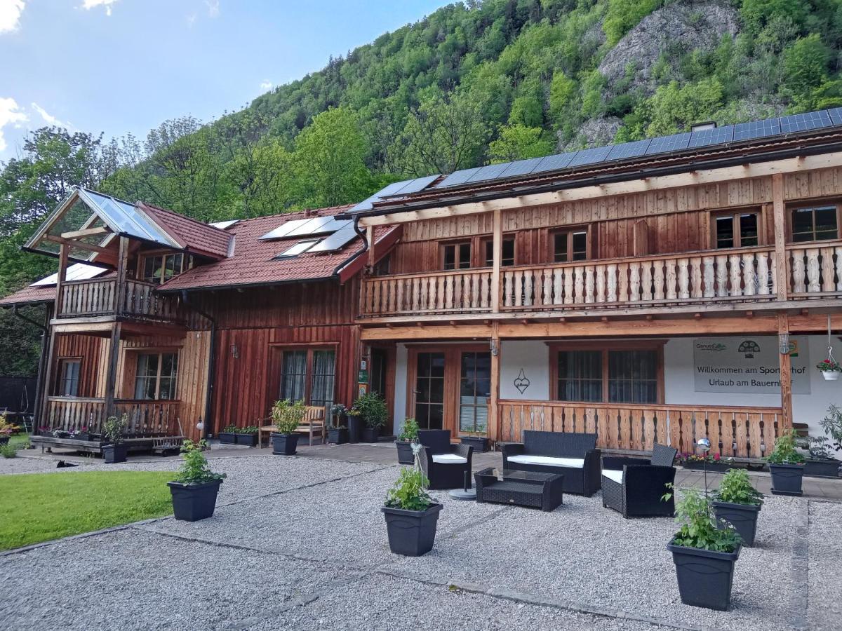 Sportlerhof - Alimann Uab Apartment Gruenau im Almtal Exterior photo